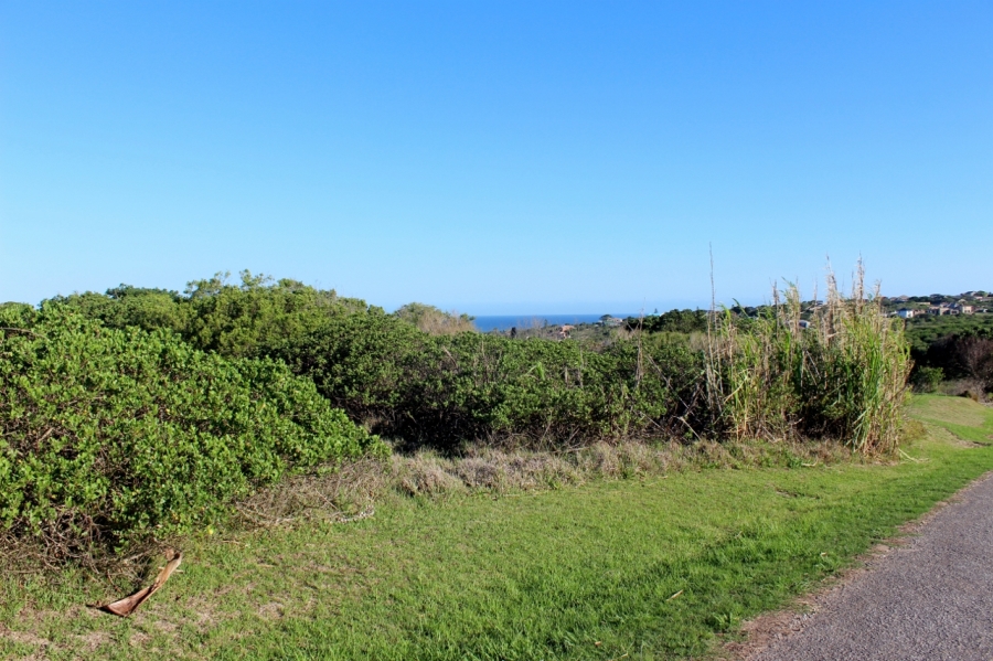 0 Bedroom Property for Sale in Forest Downs Eastern Cape